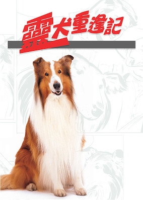 Magic of Lassie